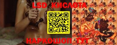 гидропоника Новодвинск
