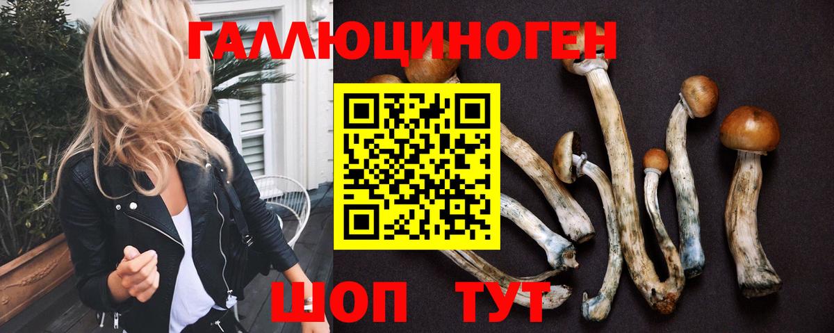 Псилоцибиновые грибы GOLDEN TEACHER  Псилоцибиновые грибы GOLDEN TEACHER  Вход с VPN  Астрахань 