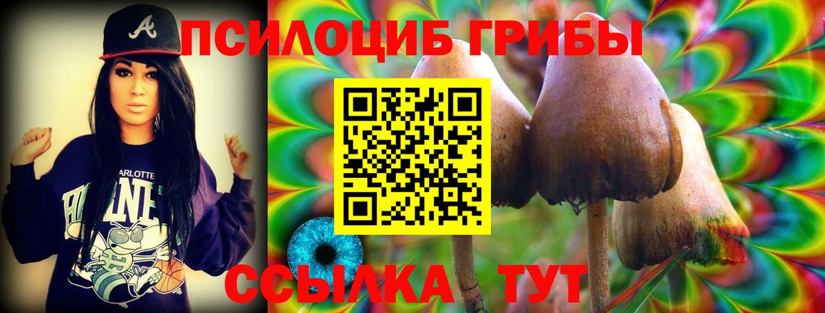Псилоцибиновые грибы прущие грибы Астрахань